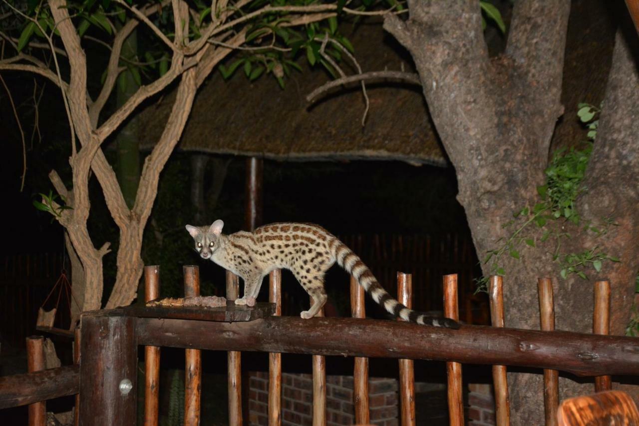 Bona Ngwenya Lodge & Safaris Marloth Park Exterior photo